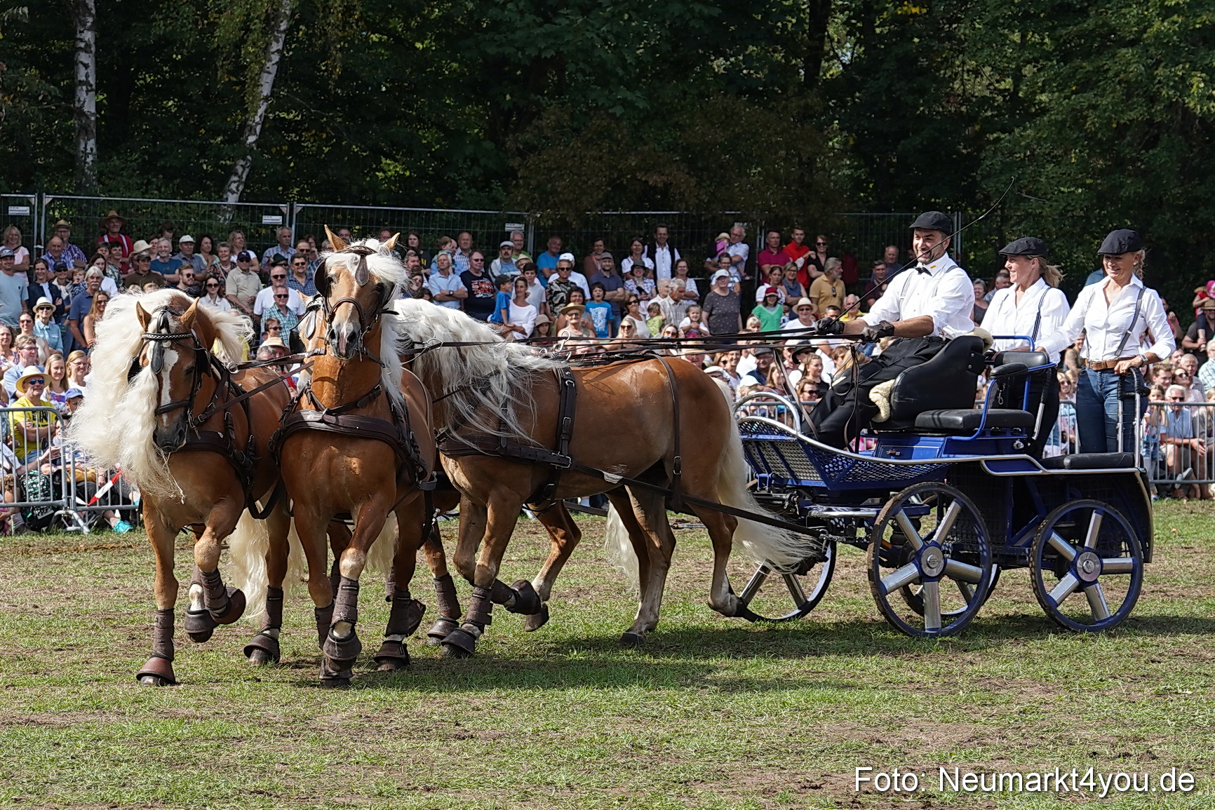 Pferde und Fohlenschau 2022 0253 